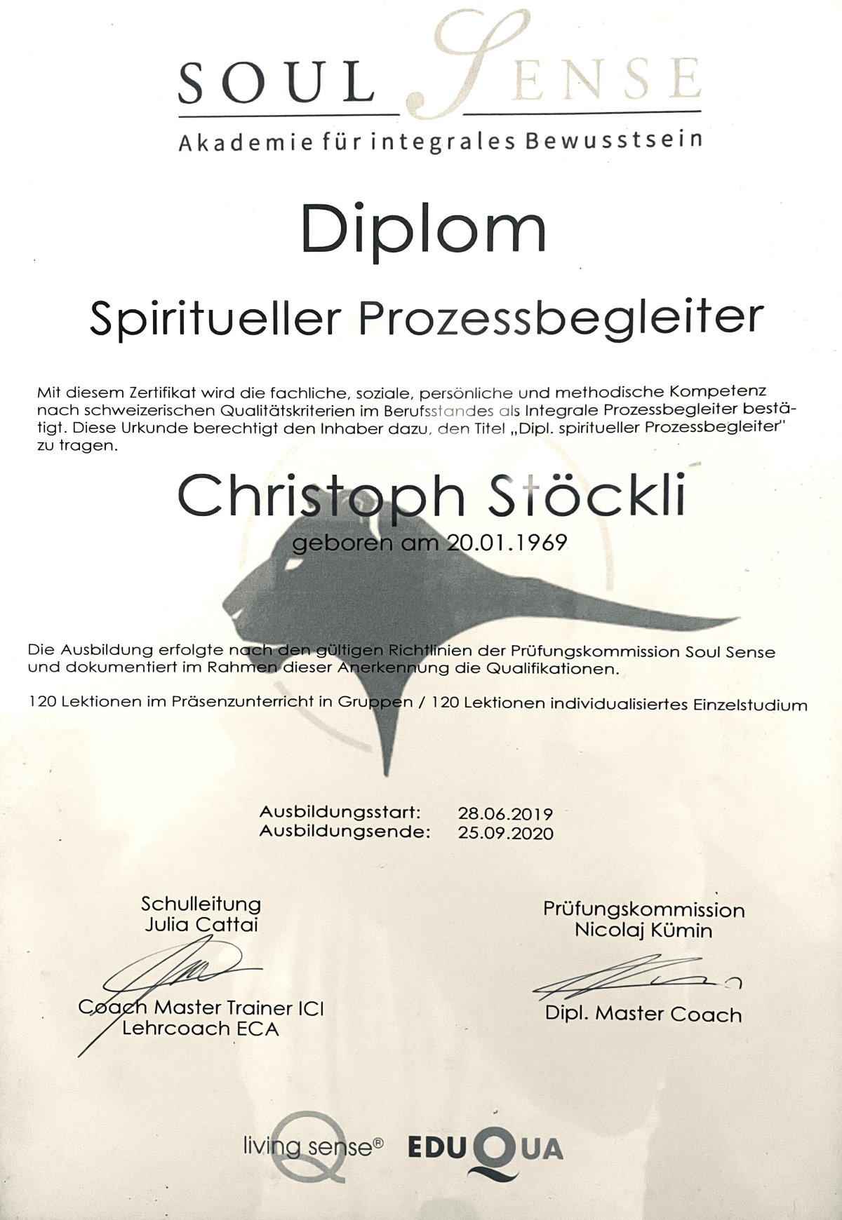 Graureiher - Schamanische Seelenbegleitung Seeland, Bern - Diplom spiritueller Prozessbegleiter