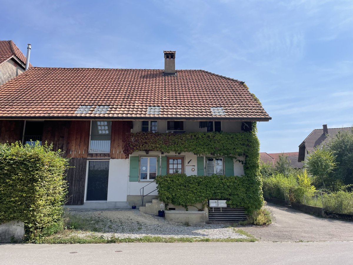 Graureiher - Seelenarbeit Seeland, Bern